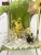 Le nid des Marsupilamis