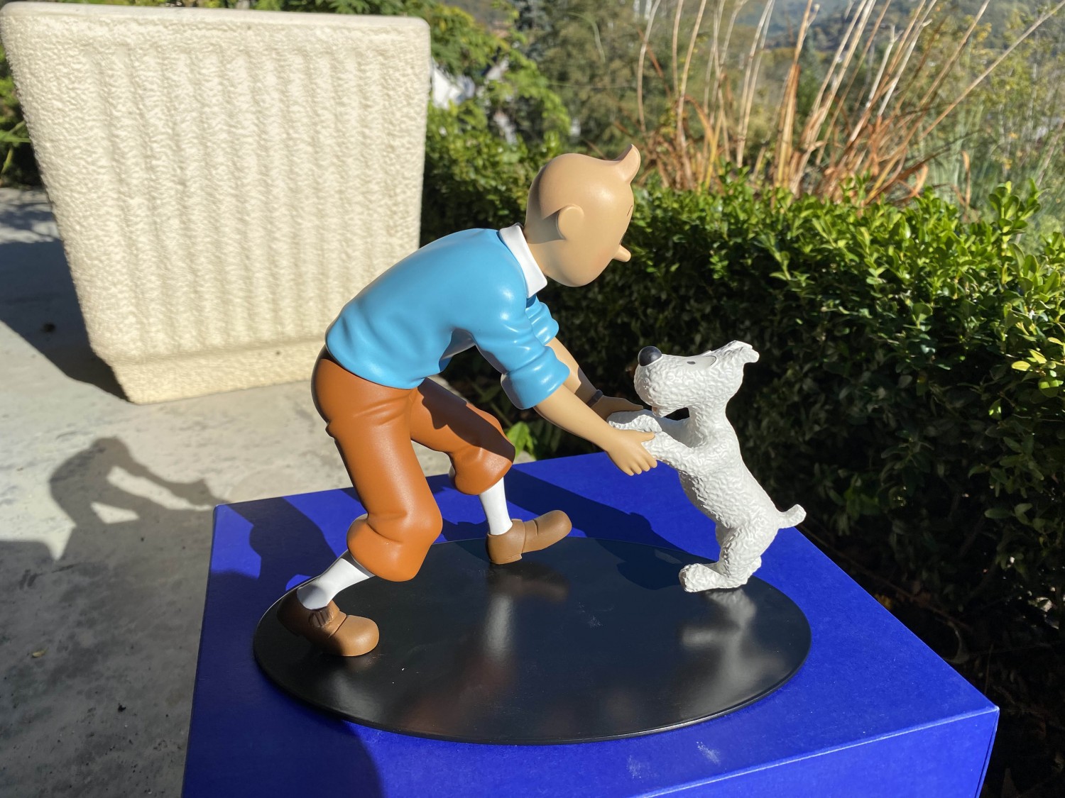 Tintin & Milou "La joie"