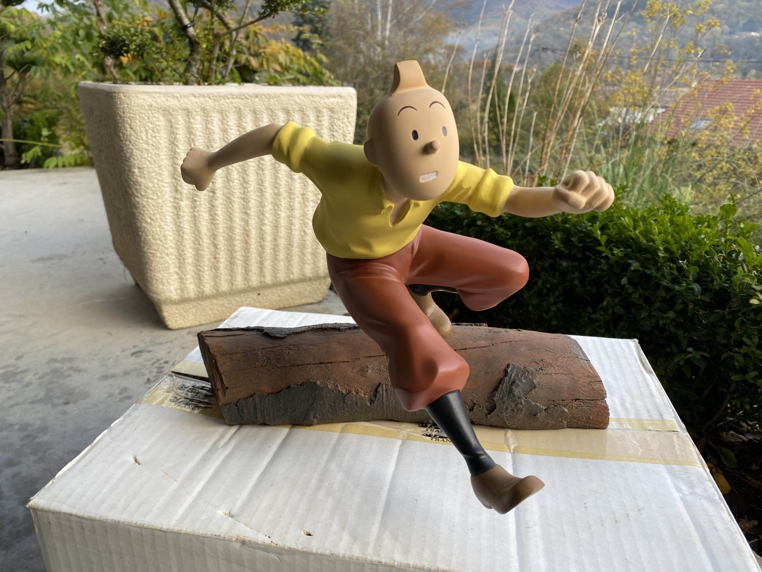 Tintin Tronc d'arbre